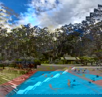 Tahune Airwalk Active Day Trip from Hobart Including Hastings Caves - Yamba Accommodation