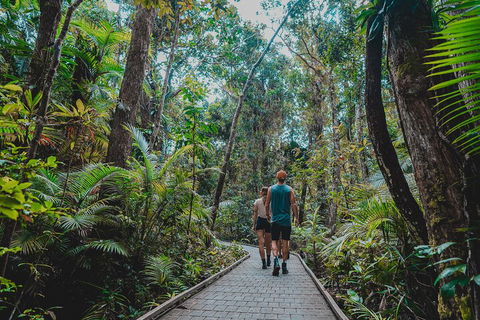 Full Day Cooktown Private Tour - Yamba Accommodation 0