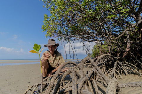 Full Day Cooktown Private Tour - Yamba Accommodation 2