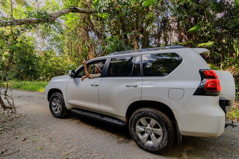 Full Day Cooktown Private Tour - Yamba Accommodation 3