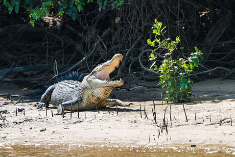 Full Day Cooktown Private Tour - Yamba Accommodation 4