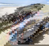 3 Day Tasmanian Wild West Coast Tour from Hobart to Launceston - Yamba Accommodation