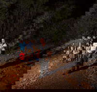 Alice Springs Desert Park Nocturnal Tour - Yamba Accommodation