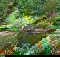 Hobart Half-Day Sightseeing Coach Tram Tour - Yamba Accommodation
