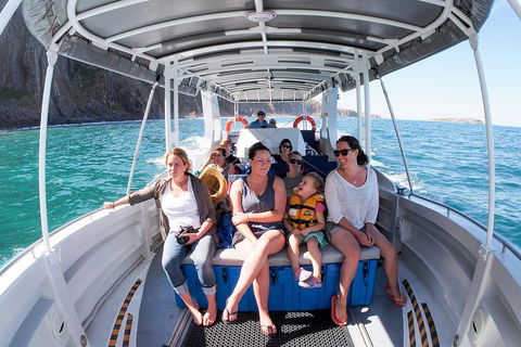 Seal Island Boat Tour From Victor Harbor - Yamba Accommodation 1