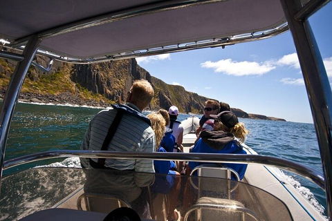 Seal Island Boat Tour From Victor Harbor - Yamba Accommodation 2
