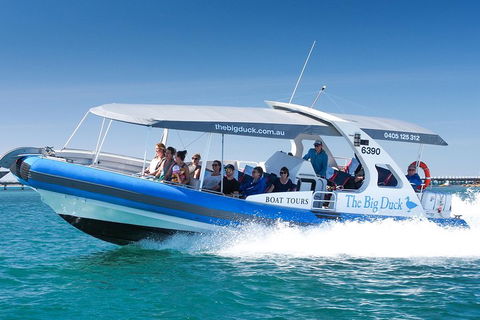 Seal Island Boat Tour From Victor Harbor - Yamba Accommodation 3