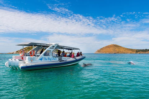 Southern Ocean Adventure From Victor Harbor - Yamba Accommodation 1