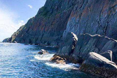 Southern Ocean Adventure From Victor Harbor - Yamba Accommodation 3