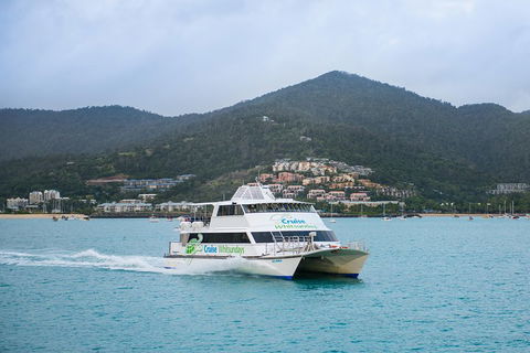 Whitsunday Islands Hopper Pass - Yamba Accommodation 4