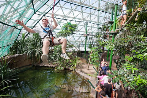 Cairns ZOOM And Wildlife Dome - Yamba Accommodation 4