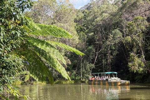 Best Of Kuranda Including Skyrail, Kuranda Scenic Railway And Rainforestation - Yamba Accommodation 5