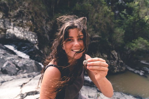 Springbrook AndTamborine Rainforest Tour Incl Natural Bridge And Glow Worm Cave - Yamba Accommodation 1