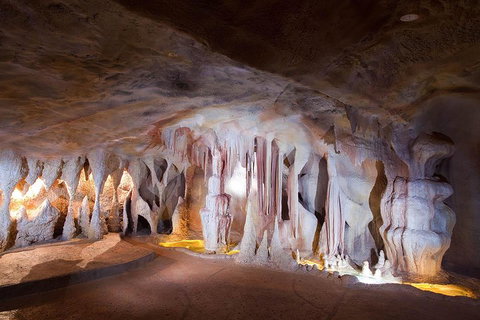 Springbrook AndTamborine Rainforest Tour Incl Natural Bridge And Glow Worm Cave - Yamba Accommodation 4