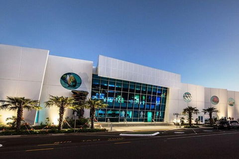Cairns Aquarium Admission Ticket - Yamba Accommodation 4