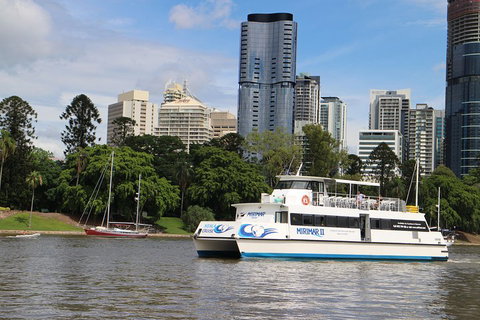 Lone Pine Koala Sanctuary Admission With Brisbane River Cruise - Yamba Accommodation 2