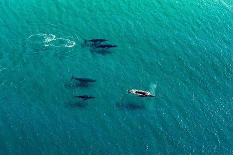 25-30 Minute Newcastle & Macquarie Helicopter Shared Flight - Yamba Accommodation 4
